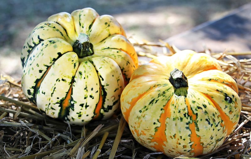 Seasonal Fusion Produce